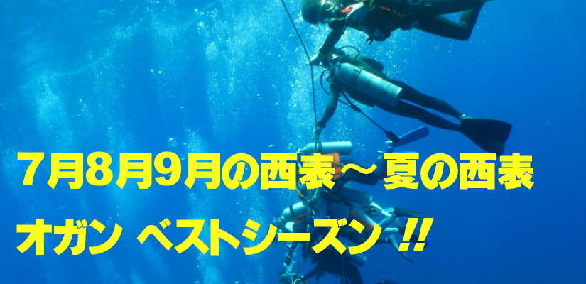 _CrO`[Ȃ肴VWX̐\`IKǐ_j̃xXgV[YII