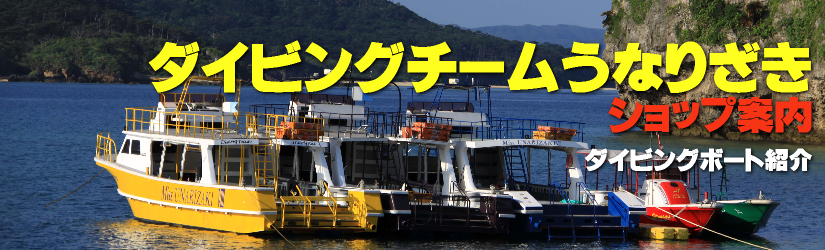 _CrO`[Ȃ肴Vbvē