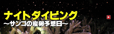 Ȃ肴\tHgReXg2011