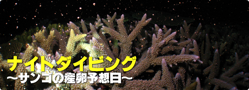 _CrO`[Ȃ肴iCg_CrO@`TS̎Y\z`