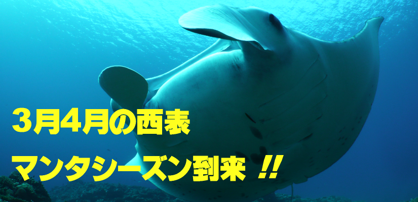 _CrO`[Ȃ肴RS̐\`}^V[YII
