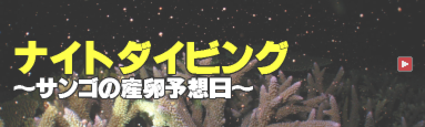 Ȃ肴\tHgReXg2011