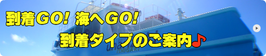 到着ダイブのご案内