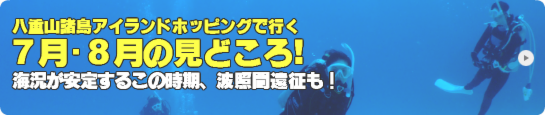 八重山ダイビング７・８月の見どころ