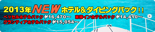 石垣市内ホテル泊ダイビングパック